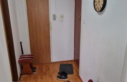 Apartament 2 camere, decomandat, 51 mp, zona Bals