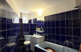 Casa D+P, 70 mp, 178 mp teren, Valea Rosie