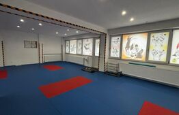 Spațiu comercial open space, demisol, 82 mpu, ideal fitness sau sală sport