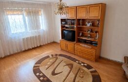 Apartament 3 camere, parter pretabil activitati comerciale, 57 mp, zona Bals