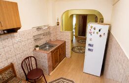 Apartament 3 camere, parter pretabil activitati comerciale, 57 mp, zona Bals