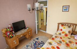 Apartament 3 camere , parter pretabil activitati comerciale ,57 mp , zona Bals