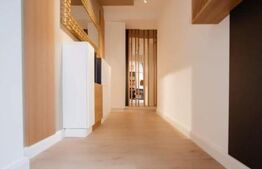 Penthouse cu 2 niveluri, 240 mp, Calea Severinului, zona Hanul Craiovita 