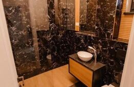 Penthouse cu 2 niveluri, 240 mp, Calea Severinului, zona Hanul Craiovita 