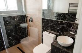 Penthouse cu 2 niveluri, 240 mp, Calea Severinului, zona Hanul Craiovita 