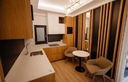 Penthouse cu 2 niveluri, 240 mp, Calea Severinului, zona Hanul Craiovita 
