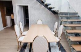 Penthouse cu 2 niveluri, 240 mp, Calea Severinului, zona Hanul Craiovita 