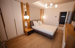 Penthouse cu 2 niveluri, 240 mp, Calea Severinului, zona Hanul Craiovita 