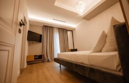 Penthouse cu 2 niveluri, 240 mp, Calea Severinului, zona Hanul Craiovita 