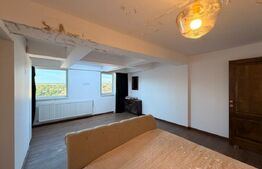 Apartament 5 camere, 171.9 mp, necesita renovare, Calea Severinului