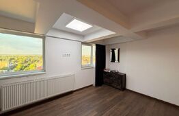 Apartament 5 camere, 171.9 mp, necesita renovare, Calea Severinului