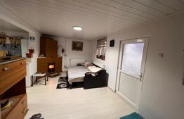 Casa P+1, 900 mp teren, zona Catargiu