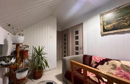 Casa P+1, 900 mp teren, zona Catargiu