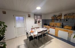 Casa P+1, 900 mp teren, zona Catargiu