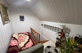 Casa P+1, 900 mp teren, zona Catargiu