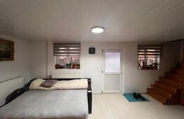 Casa P+1, 900 mp teren, zona Catargiu