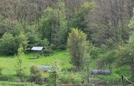 PADURE SALCAM, 120000mp, BRADESTI