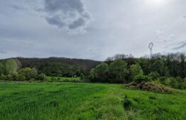 PADURE SALCAM, 120000mp, BRADESTI