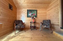 Casa S+P+M cu 748 mp de teren, zona Carcea