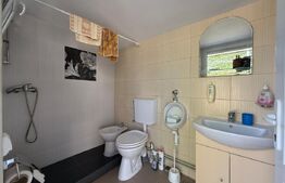 Casa S+P+M cu 748 mp de teren, zona Carcea