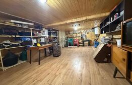 Casa S+P+M cu 748 mp de teren, zona Carcea