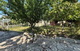 Casa S+P+M cu 748 mp de teren, zona Carcea
