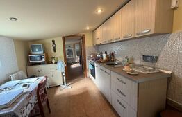 Casa S+P+M cu 748 mp de teren, zona Carcea