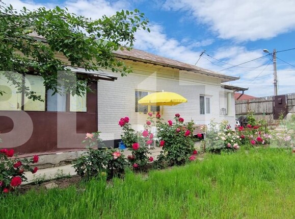 Casa de vânzare 4 camere Bariera Valcii - 194333CV | BLITZ Craiova | Poza3