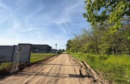 Teren intravilan 2000 mp, langa padure, utilitati, zona Cosoveni