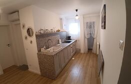 Apartament cu 2 camere, etaj 3, centrala si AC, zona 1 Mai Insula