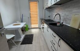 Apartament 2 camere, 55.20 mp, zona Damila/Căpșunărie