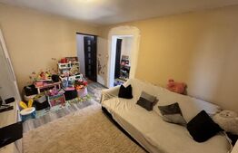 Casă+anexă – 2 dormitoare, teren 320 mp, zona Brestei - Fermierului