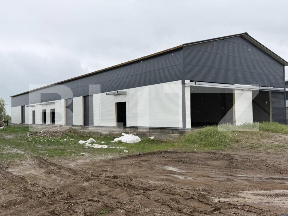 Spațiu industrial de vânzare Ghercesti - 194469SVI | BLITZ Craiova | Poza4