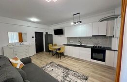 Apartament 2 camere, 50 mp, prima inchiriere, centrala si AC, zona Hanul Doctor