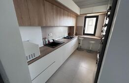 Apartament 3 camere open space, 71.5 mp, zona Calea Severinului - Botanica