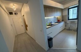 Apartament 3 camere open space, 71.5 mp, zona Calea Severinului - Botanica