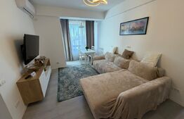 Apartament 3 camere open space, 71.5 mp, zona Calea Severinului - Botanica