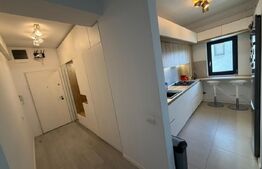 Apartament 3 camere open space, 71.5 mp, zona Calea Severinului - Botanica