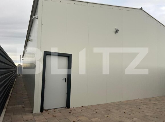 Spațiu industrial de închiriat Exterior Est - 194522SII | BLITZ Craiova | Poza4