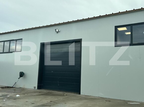 Spațiu industrial de închiriat Exterior Est - 194524SII | BLITZ Craiova | Poza3