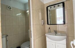 Spatiu comercial, 165 mp, zona Centrala