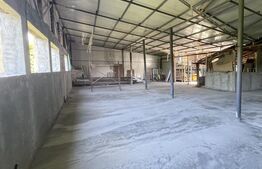 Hala industriala - Spatiu Flexibil cu acces privat - Bariera Valcii 