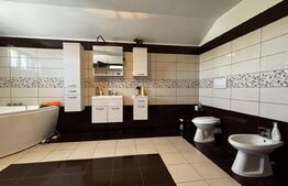 Proprietate premium cu 2 case, 783 mp teren, toate utilitățile, Cârcea