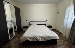 Proprietate premium cu 2 case, 783 mp teren, toate utilitățile, Cârcea