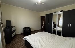 Proprietate premium cu 2 case, 783 mp teren, toate utilitățile, Cârcea