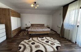 Proprietate premium cu 2 case, 783 mp teren, toate utilitățile, Cârcea
