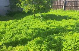 Casă bătrânească – teren 339 mp, zona Câmpia Islaz
