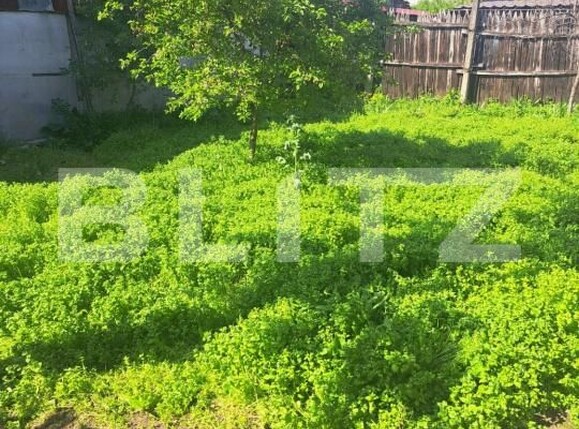Casa de vânzare 3 camere Brestei - 194661CV | BLITZ Craiova | Poza6