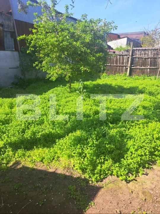 Casa de vânzare 3 camere Brestei - 194661CV | BLITZ Craiova | Poza6