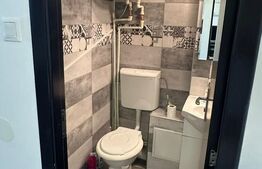 Apartament , 49 mp Calea Bucuresti, Zona Rotonda